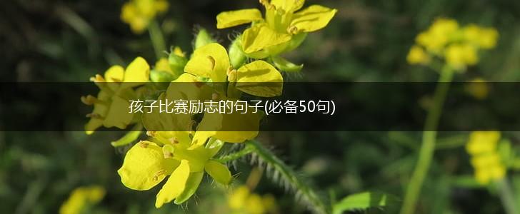 孩子比赛励志的句子(必备50句),第1张