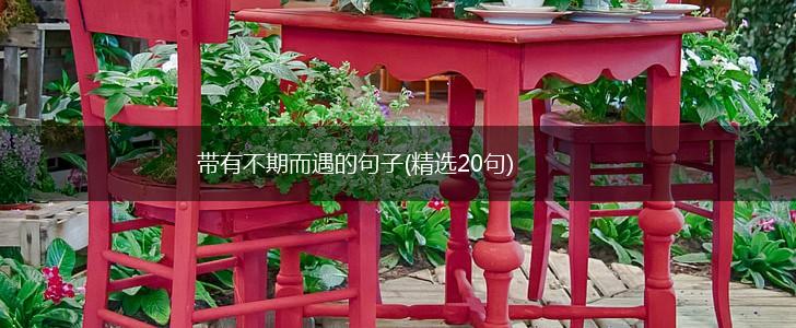 带有不期而遇的句子(精选20句),第1张