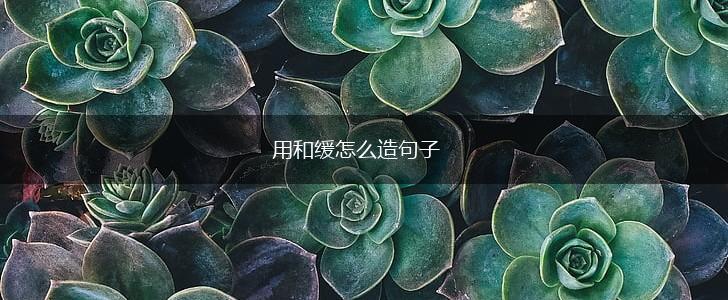 用和缓怎么造句子,第1张 用和缓怎么造句子,第1张