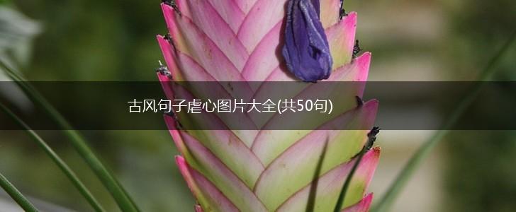 古风句子虐心图片大全(共50句),第1张