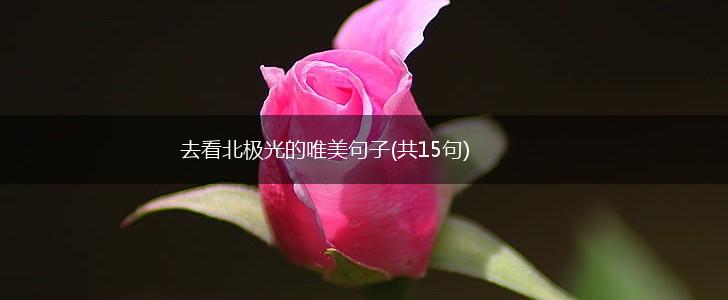 去看北极光的唯美句子(共15句),第1张