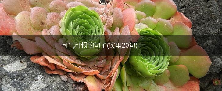 可气可恨的句子(实用20句),第1张