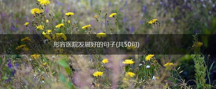 形容医院发展好的句子(共50句),第1张