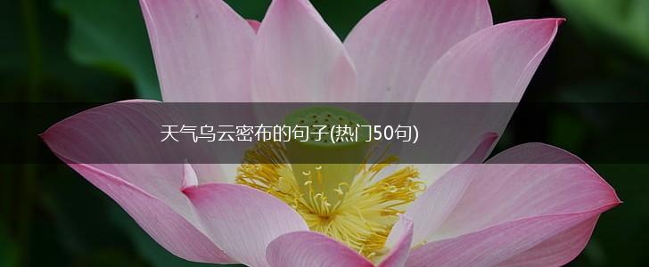 天气乌云密布的句子(热门50句),第1张