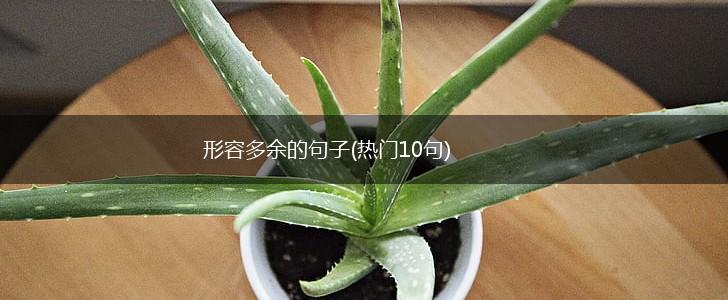 形容多余的句子(热门10句),第1张