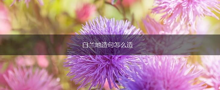 白兰地造句怎么造,第1张