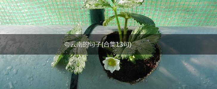 夸云南的句子(合集13句),第1张