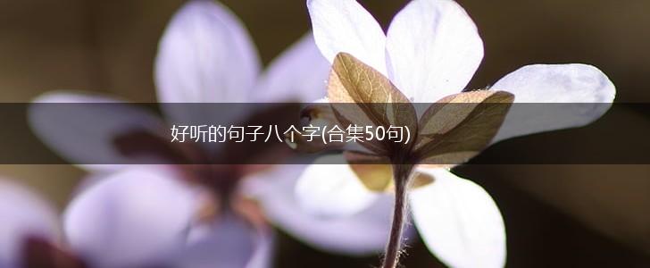 好听的句子八个字(合集50句),第1张