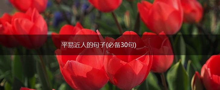平易近人的句子(必备30句),第1张