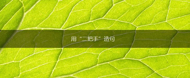 用“二把手”造句,第1张 用“二把手”造句,第1张