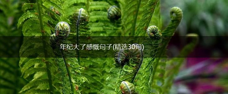 年纪大了感慨句子(精选30句),第1张