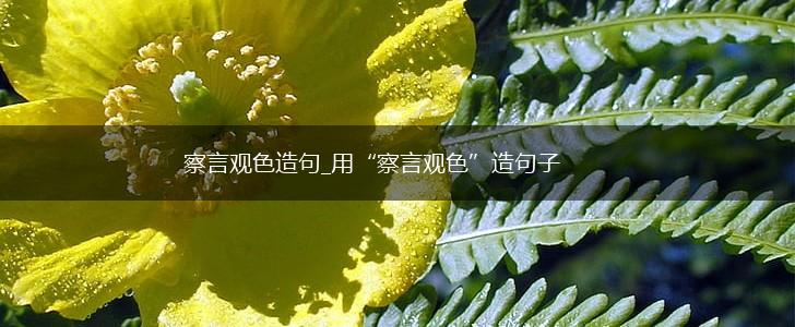 察言观色造句_用“察言观色”造句子,第1张