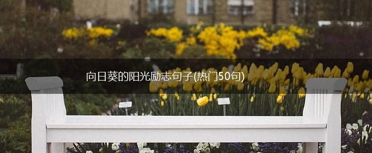 向日葵的阳光励志句子(热门50句),第1张