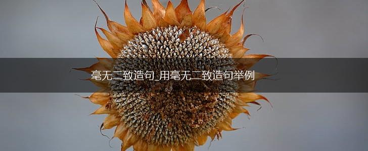 毫无二致造句_用毫无二致造句举例,第1张 毫无二致造句_用毫无二致造句举例,第1张