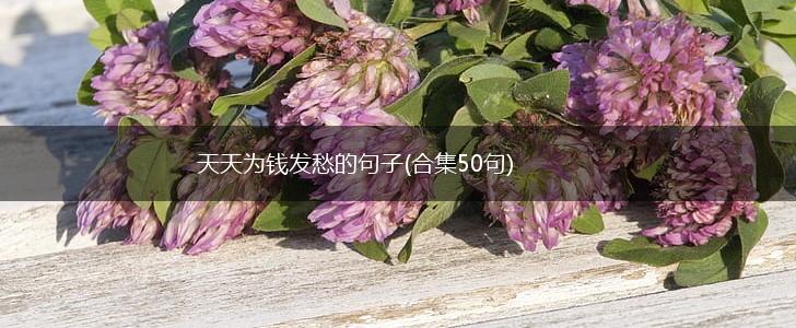 天天为钱发愁的句子(合集50句),第1张