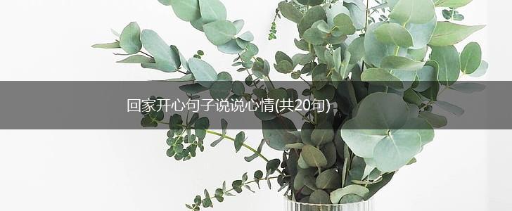 回家开心句子说说心情(共20句),第1张