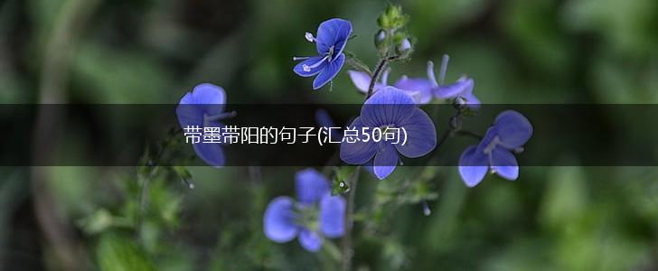 带墨带阳的句子(汇总50句),第1张