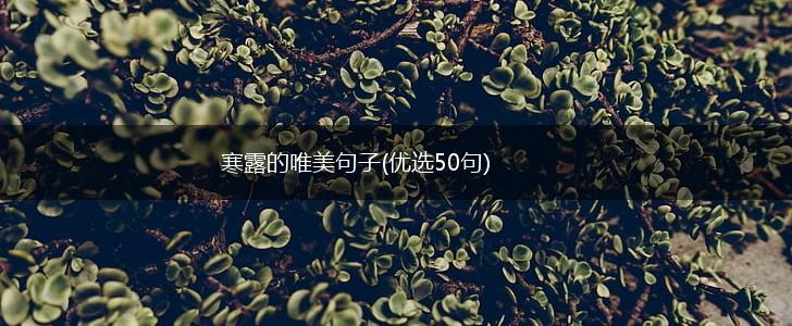 寒露的唯美句子(优选50句),第1张