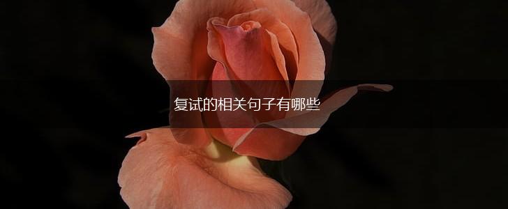 复试的相关句子有哪些,第1张 复试的相关句子有哪些,第1张