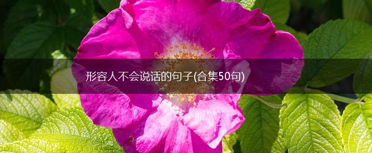 形容人不会说话的句子(合集50句),第1张