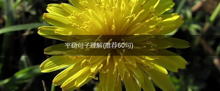 平稳句子理解(推荐60句),第1张