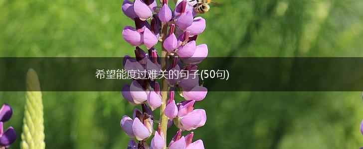 希望能度过难关的句子(50句),第1张