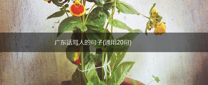 广东话骂人的句子(通用20句),第1张