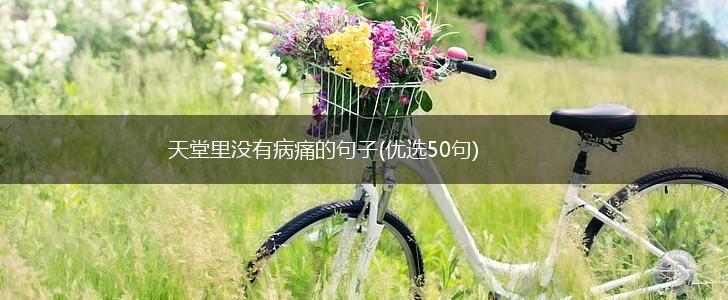 天堂里没有病痛的句子(优选50句),第1张