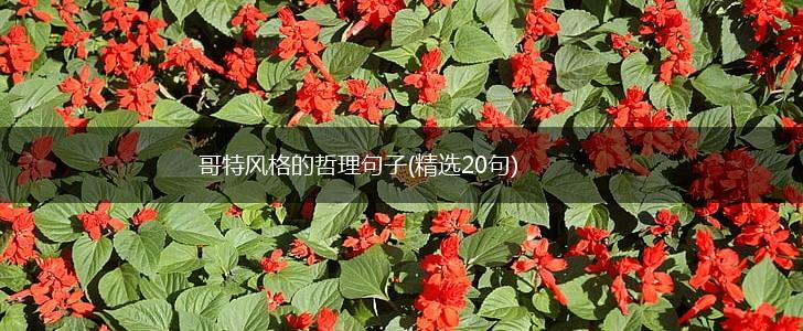 哥特风格的哲理句子(精选20句),第1张