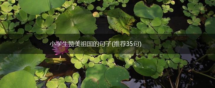 小学生赞美祖国的句子(推荐35句),第1张