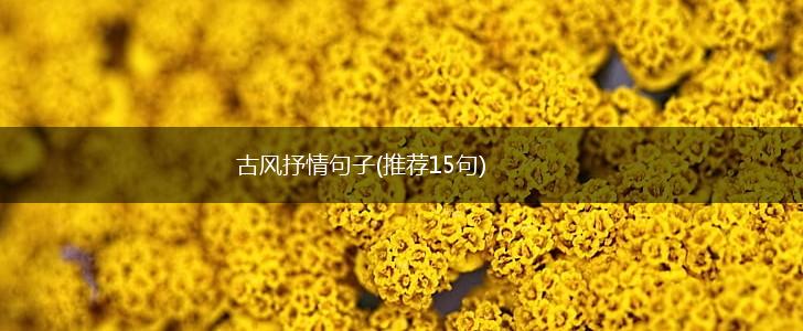 古风抒情句子(推荐15句),第1张