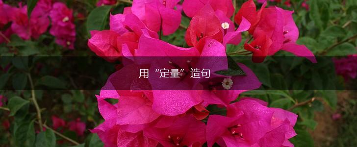 用“定量”造句,第1张