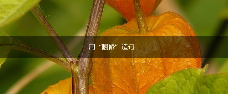 用“翻修”造句,第1张 用“翻修”造句,第1张