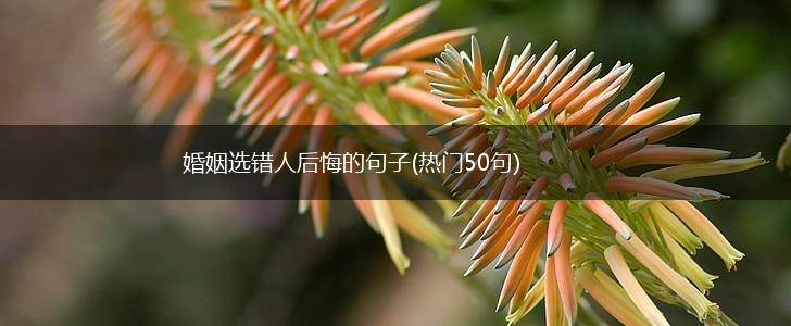 婚姻选错人后悔的句子(热门50句),第1张