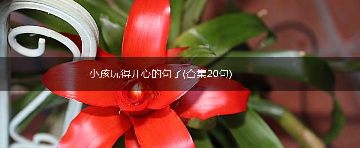 小孩玩得开心的句子(合集20句),第1张