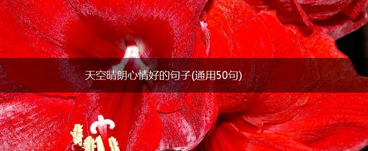 天空晴朗心情好的句子(通用50句),第1张