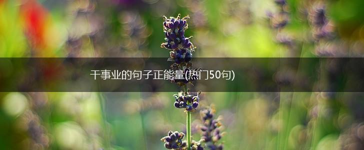 干事业的句子正能量(热门50句),第1张