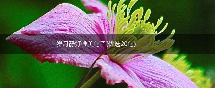岁月静好唯美句子(优选20句),第1张