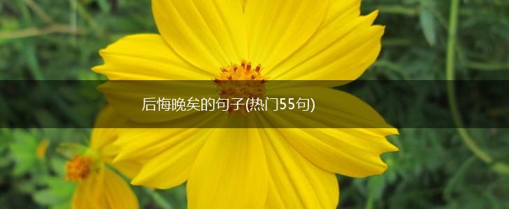后悔晚矣的句子(热门55句),第1张