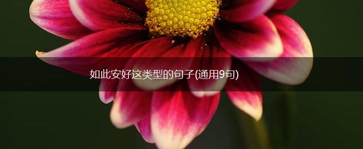 如此安好这类型的句子(通用9句),第1张