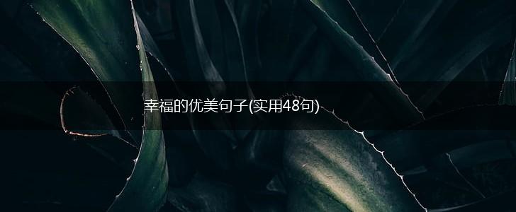 幸福的优美句子(实用48句),第1张