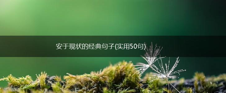 安于现状的经典句子(实用50句),第1张