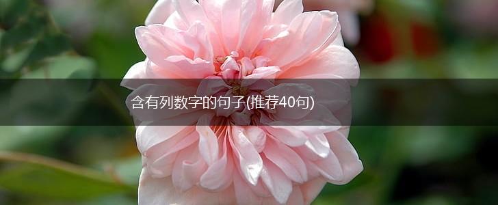 含有列数字的句子(推荐40句),第1张
