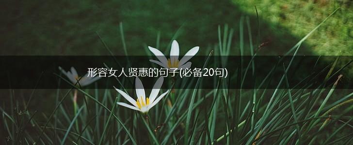 形容女人贤惠的句子(必备20句),第1张