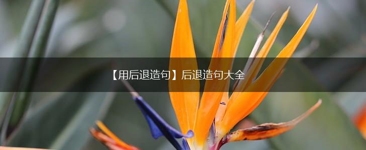 【用后退造句】后退造句大全,第1张 【用后退造句】后退造句大全,第1张
