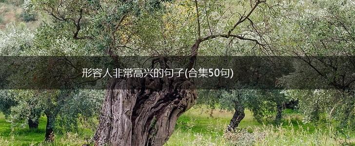 形容人非常高兴的句子(合集50句),第1张