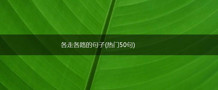 各走各路的句子(热门50句),第1张