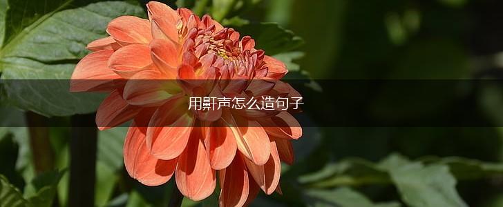 用鼾声怎么造句子,第1张 用鼾声怎么造句子,第1张