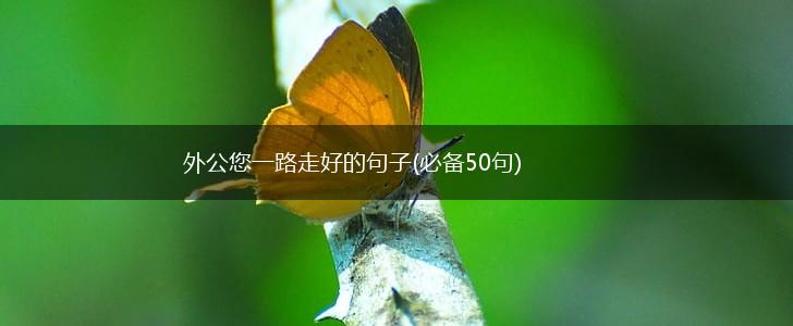外公您一路走好的句子(必备50句),第1张