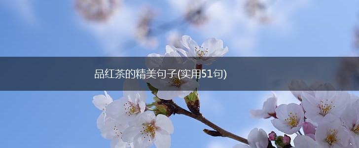 品红茶的精美句子(实用51句),第1张
